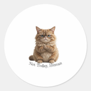 Adesivo Redondo Gato Grumpy "Não Hoje, Humano" Pau Engraçado Fluff