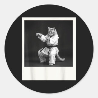 Adesivo Redondo Gato Jiu Jitsu Karate Taekwondo Gráfico Engraçado