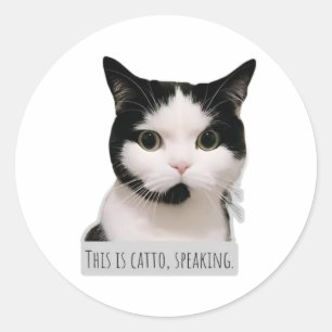 Adesivo Redondo gato meme