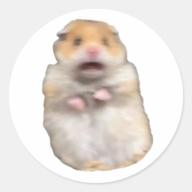 Adesivo Redondo gato meme engraçado (Frente)