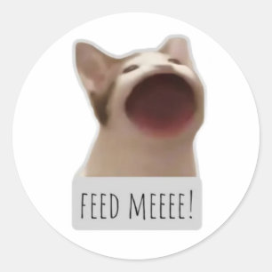 Adesivo Redondo gato meme engraçado