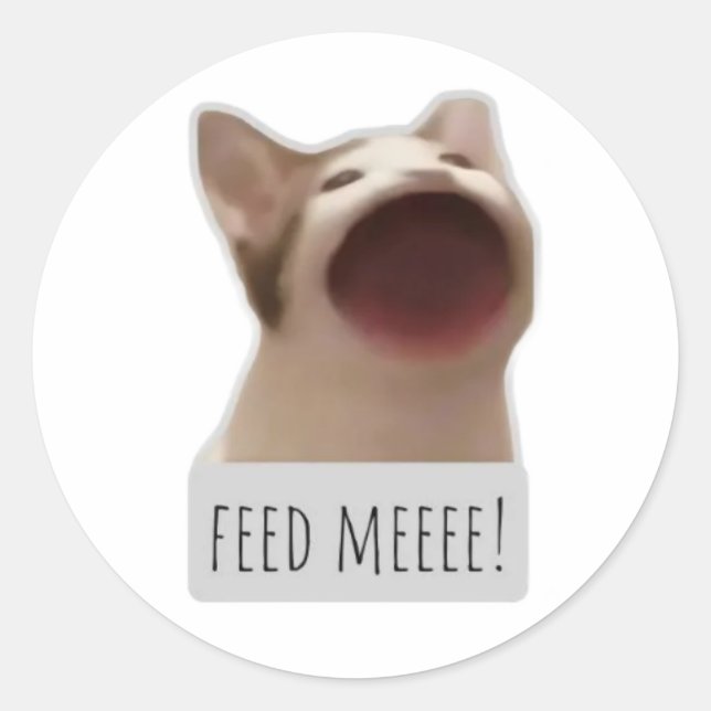 Adesivo Redondo gato meme engraçado (Frente)