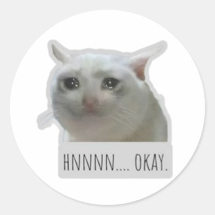 Adesivo Redondo gato meme engraçado