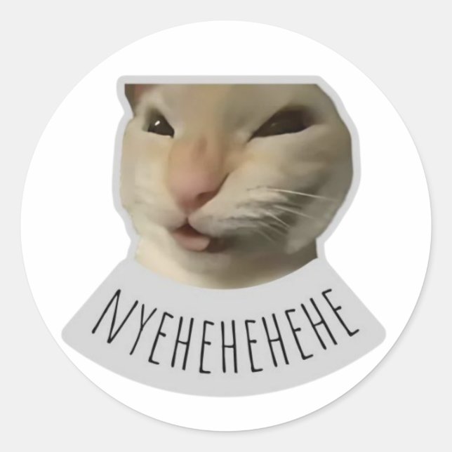 Adesivo Redondo gato meme engraçado (Frente)