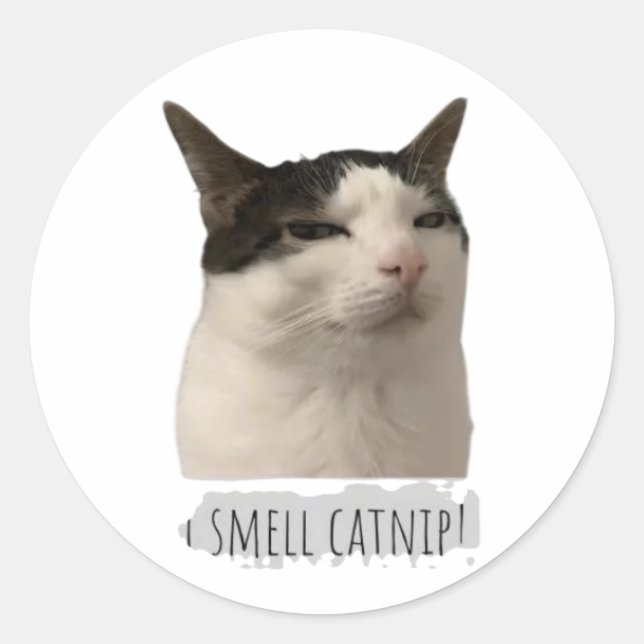 Adesivo Redondo gato meme engraçado (Frente)