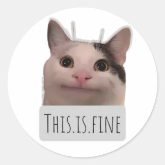 Adesivo Redondo gato meme engraçado