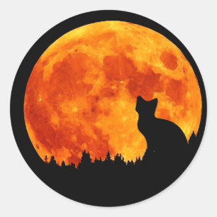 Adesivo Redondo Gato na lua alaranjada completa