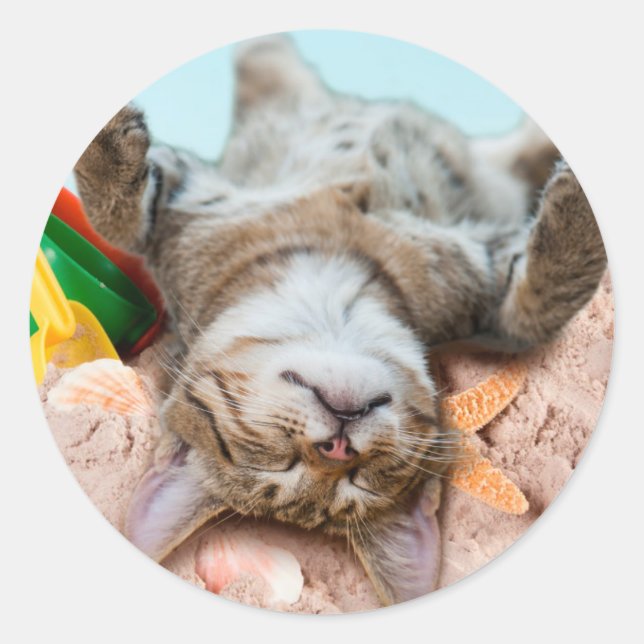 Adesivo Redondo Gato na praia e céu azul (Frente)