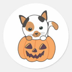 Adesivo Redondo Gato Na Pumpkin Gatos Doce Feliz Dia das Bruxas Cl