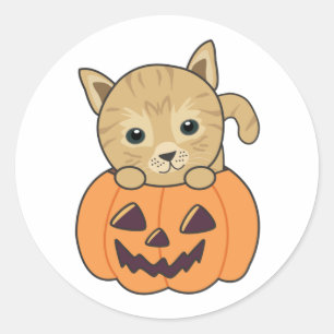 Adesivo Redondo Gato Na Pumpkin Gatos Doce Feliz Dia das Bruxas Cl