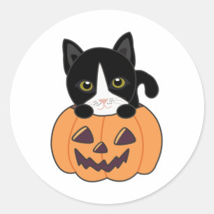Adesivo Redondo Gato Na Pumpkin Gatos Doce Feliz Dia das Bruxas Cl