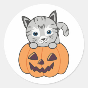 Adesivo Redondo Gato Na Pumpkin Gatos Doce Feliz Dia das Bruxas Cl