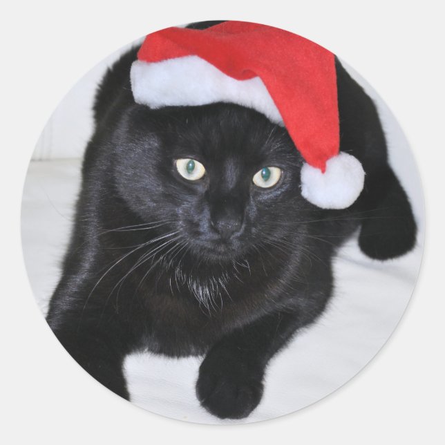 Adesivo Redondo Gato Negro com Chapéu Vermelho do Pai Natal (Frente)
