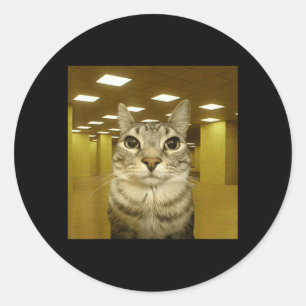 Adesivo Redondo Gato No Espaço Liminal Dos Fundos Meme Engraçado D