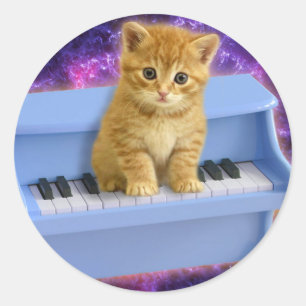 Adesivo Redondo Gato no piano azul