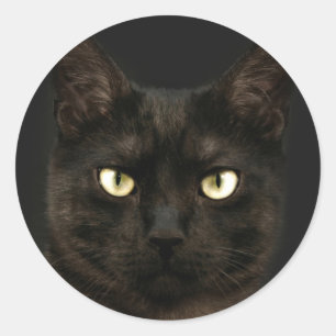 Adesivo Redondo Gato preto assustador