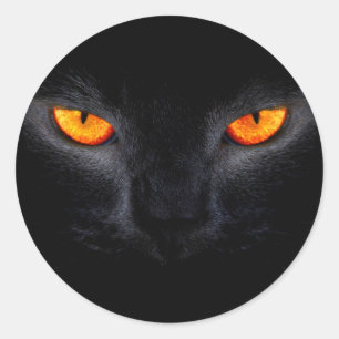 Adesivo Redondo Gato Preto com Olhos Laranja