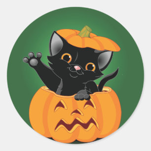 Adesivo Redondo Gato Preto Em Pumpkin Stickers