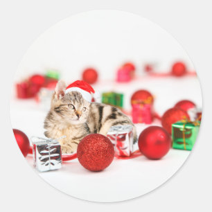 Adesivo Redondo Gato usando enfeite de Natal chapéu vermelho de Pa
