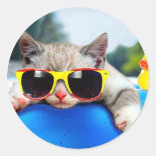 Adesivo Redondo Gato vestindo óculos solares relaxando no colchão 