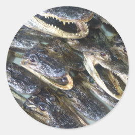 Adesivo Redondo Gator Head Sticker
