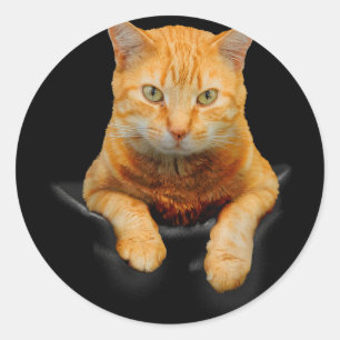 Adesivo Redondo Gatos Criativos De Gatos Motif Bag Cat
