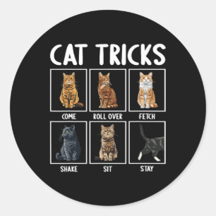 Adesivo Redondo Gatos Engraçados Truques De Gato