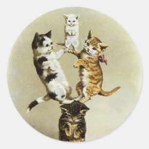 Adesivo Redondo Gatos Gatinhos Vitorianos Fofos Brincando, Humor