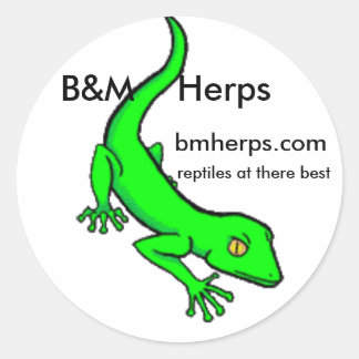 Adesivo Redondo gecko, B&M Herps, bmherps.com, répteis em t...