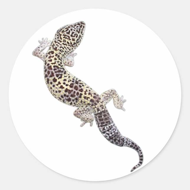 Adesivo Redondo Gecko Stickers 01 (Frente)