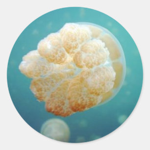 Adesivo Redondo Geléia