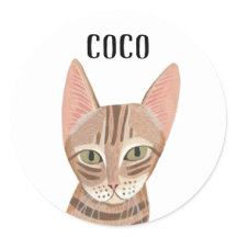 Gengibre Gengibre Ilustrado