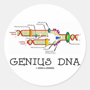 Adesivo Redondo Genius DNA (DNA Replication Humor)