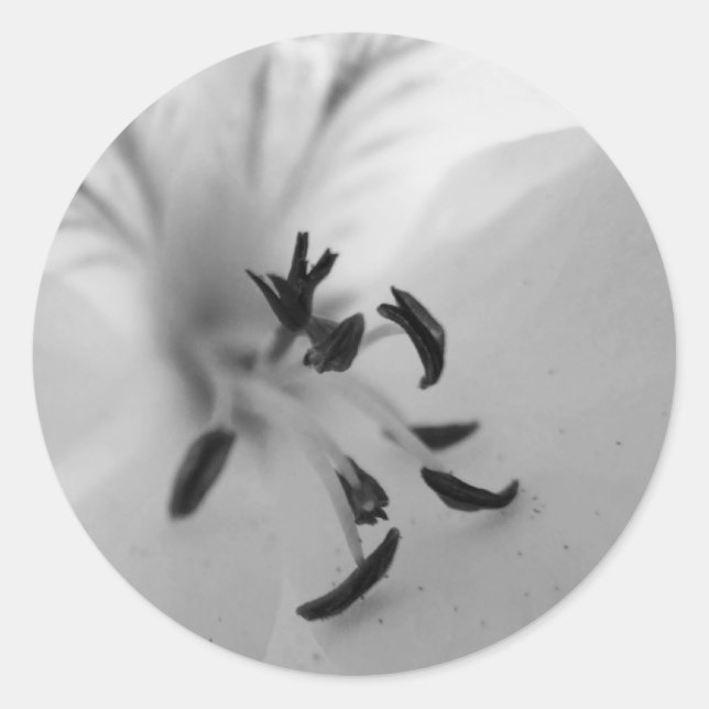 Adesivo Redondo Geranium Center Stickers B&W (Frente)