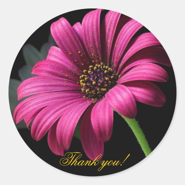 Adesivo Redondo Gerber Rosa Obrigado! (Frente)
