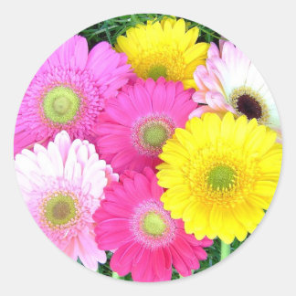 Adesivo Redondo Gerbera Daisy Colors