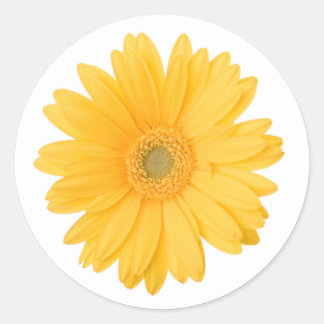 Adesivo Redondo Gerbera Daisy Flower - Amarelo brilhante