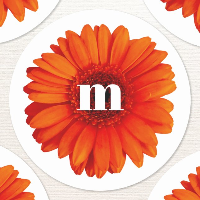 Adesivo Redondo Gerbera Daisy Monograma inicial (Modern monogram initial personalized gerbera daisy stickers)