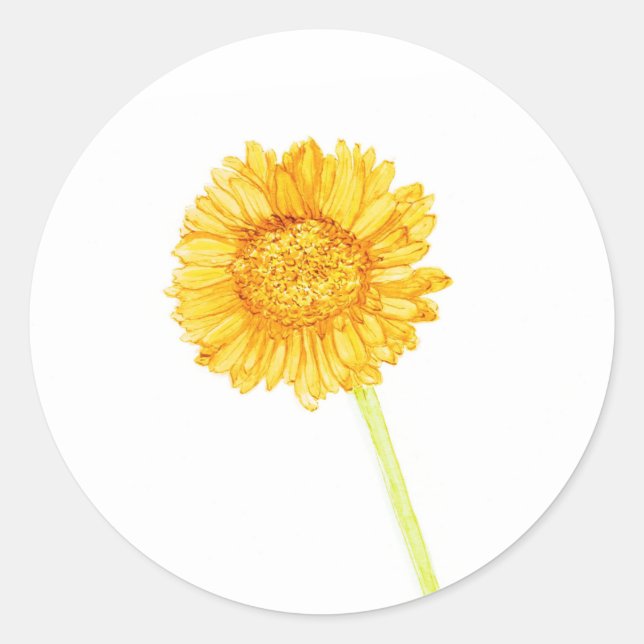 Adesivo Redondo Gerbera daisy Sticker (Frente)