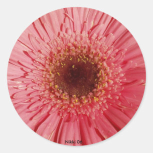 Adesivo Redondo Gerbera Daisy Sticker