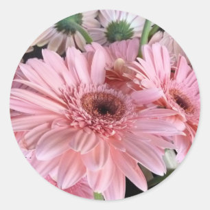 Adesivo Redondo gerberas cor-de-rosa