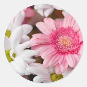 Adesivo Redondo Gerberas E Chrysanthemos