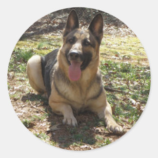 Adesivo Redondo German shepherd