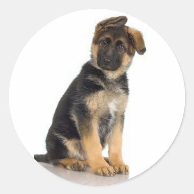 Adesivo Redondo German shepherd (Frente)
