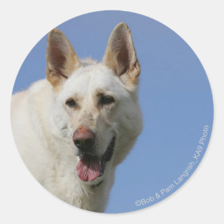 Adesivo Redondo German shepherd branco