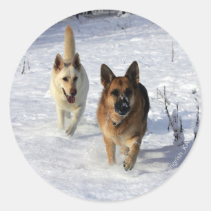 Adesivo Redondo German shepherd que funcionam na neve