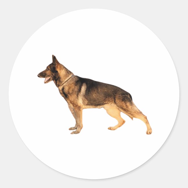 Adesivo Redondo German shepherd Round Sticker (Frente)