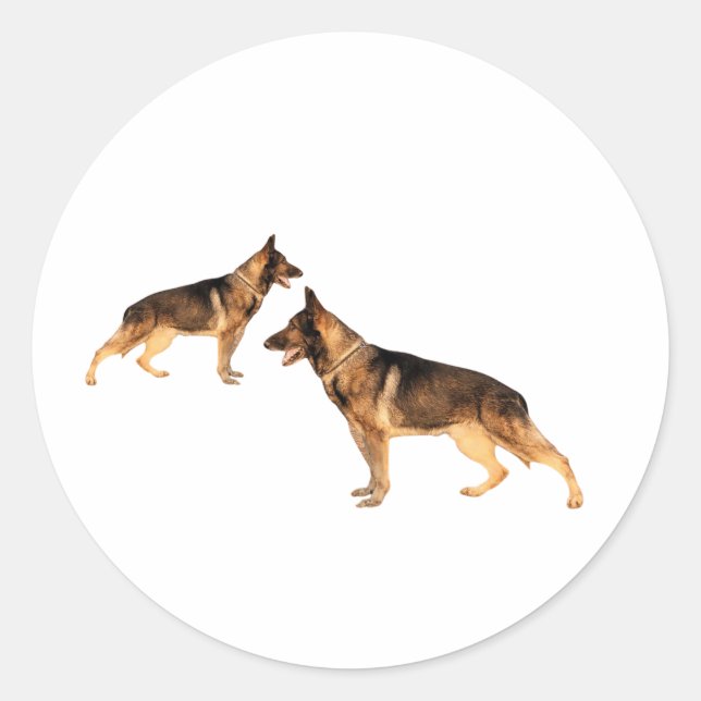 Adesivo Redondo German shepherd Round Sticker (Frente)