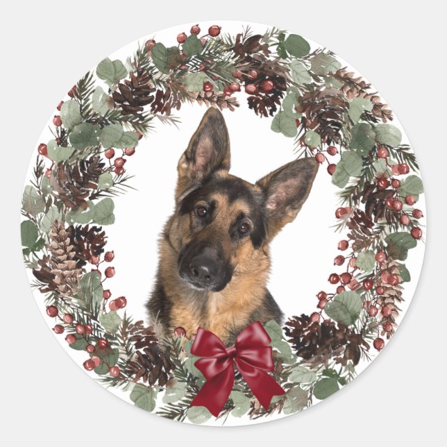 Adesivo Redondo German shepherd Vermelho Arco Pinecone Wreath Nata (Frente)