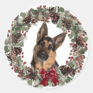 Adesivo Redondo German shepherd Vermelho Arco Pinecone Wreath Nata